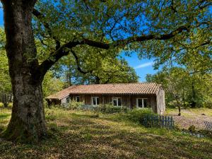 an old house in a field next to a tree at La Petite Ferme des Etoiles in Mauroux