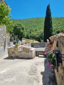 a garden with a fountain and some flowers at Casale Montanari in Matigge