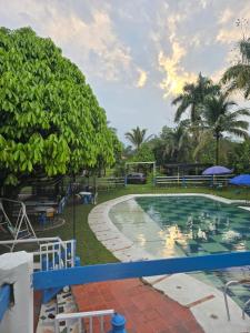 a pool at a resort with trees and palm trees at Finca la santa in San Luis de Cubarral