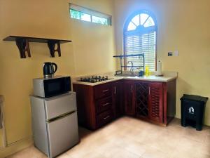 a kitchen with a sink and a refrigerator and a microwave at Kariba Kariba in Mandeville