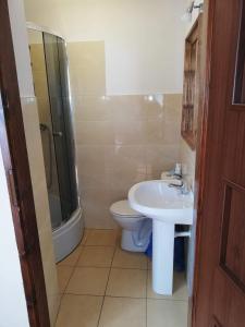 a bathroom with a toilet and a sink and a shower at Pokoje Augustów 5 osobowy i 3 osobowy in Augustów