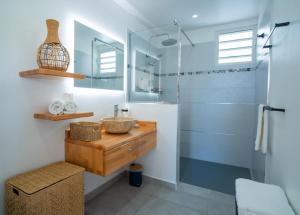 a bathroom with a sink and a shower at Villa piscine privée Grand-Bourg proche plage in Grand-Bourg +24 photos
