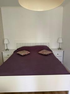 a bedroom with a large bed with two pillows on it at Šaulys in Druskininkai +2 photos