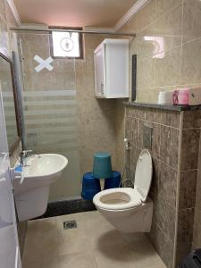 a bathroom with a white toilet and a sink at جبال جرش in Jerash +11 photos