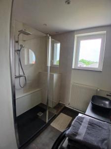 a bathroom with a shower and a sink at 4-person apartment La Salamandre in Gondreville +3 photos