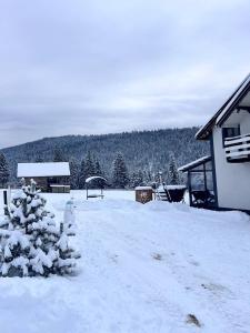 a snow covered yard with a house and a tree at Лайт Хайс Буковель in Palyanytsya