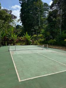 a tennis court with two tennis rackets on it at Passion Fruit Lodge in Cahuita