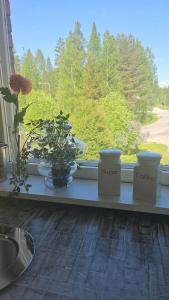 a window sill with a plant and three pots on it at Jämsän Kulma in Halli