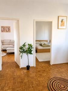 a living room with a bed and a potted plant at Helena City Apartment in Leoben