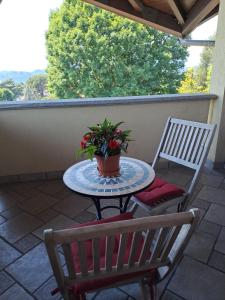 a patio table with two chairs and a potted plant at Vista Lago B&B in Gavirate