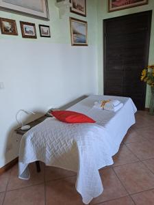 a white bed with red pillows on it in a room at Vista Lago B&B in Gavirate