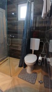 a bathroom with a toilet and a shower with a window at Durmitor Holiday in Žabljak