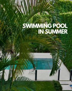 a palm tree next to a swimming pool in summer at Casa Caravan - Plant Based Concept House in Buenos Aires +83 photos