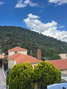 a view of a house with a mountain in the background at Protopapas House in Kato Amiandos +21 photos