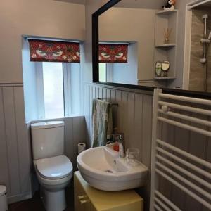 a bathroom with a white toilet and a sink at Snowdrop Cottage in Orkney +5 photos