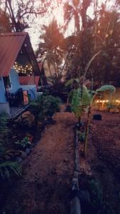 a yard with a house and a tree with lights at The Green resort goa in Canacona