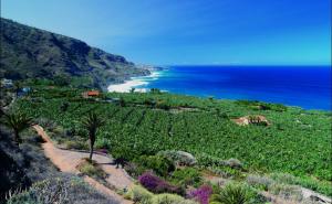 a view of the ocean from a hill with a beach at La Mar in Los Realejos