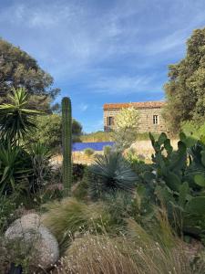 a garden with cacti and a building in the background at Patios di pruno Suite MELO in Figari