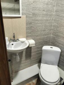 a bathroom with a toilet and a sink at Krainya hata in Melʼniki +8 photos