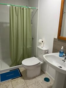 a bathroom with a toilet and a sink and a shower at Casa Vega-Marrero in Arucas +5 photos