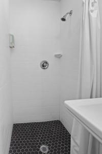 a white bathroom with a shower and a sink at Village Lodge in Bristol +8 photos