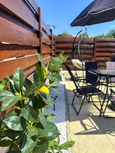 a patio with a table and chairs and an umbrella at Vila Jovanovic in Bajina Bašta