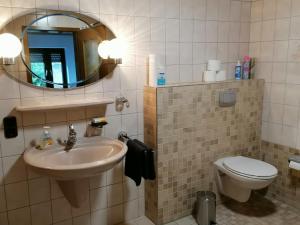 un bagno con lavandino, WC e specchio di Ferienwohnung Eifelglück a Utzerath