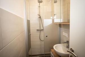 a bathroom with a shower and a sink at Haus Weisl in Erlsberg