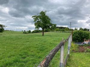 ein Holzzaun in einem Feld mit einem Baum in der Unterkunft Kleegarten in Eppelborn