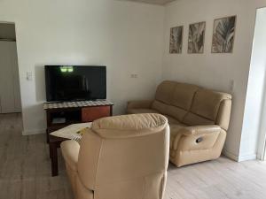 ein Wohnzimmer mit Sofa und Fernseher in der Unterkunft Kleegarten in Eppelborn