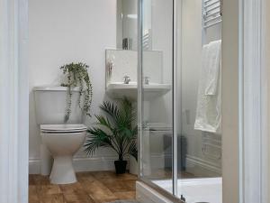 a bathroom with a toilet and a sink at Spa View Apartments in Ripon +62 photos