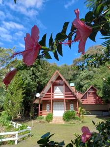 a house with red flowers in front of it at Cabana da Serra in Riozinho