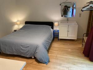 a bedroom with a bed and a mirror on the wall at Room in a garden Late CHECKOUT in Ghent +6 photos