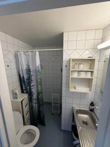 a bathroom with a toilet and a shower and a sink at SleepCleanGo L3 in Gnisvärd