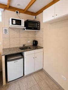a small kitchen with a sink and a microwave at Las lupinas pleno centro in Coronel Suárez