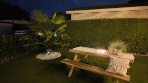 a wooden picnic table in a yard with a plant at ViVe in Putten