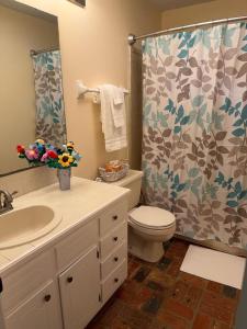 a bathroom with a toilet and a shower curtain at WildFlower Inn in Satsuma