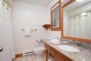 a bathroom with a sink and a toilet and a mirror at Tugboat Inn in Boothbay Harbor +71 photos