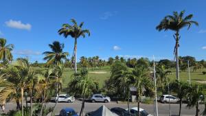 a view of a golf course with palm trees at Côté Golf Marina in Saint-François +7 photos