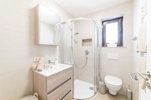 a bathroom with a shower and a toilet and a sink at Moar Apartments in Silandro