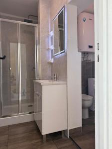 a bathroom with a sink and a shower and a toilet at Apartment Natali in Schnaittenbach +42 photos