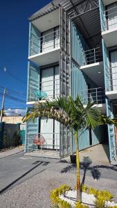 a palm tree in front of a building at Riovale Container Lofts in Petrolina