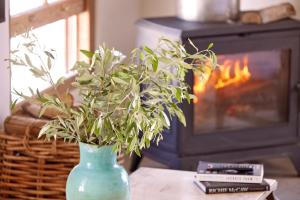 a blue vase with a plant in front of a fireplace at Duneberry Beach Studio in Yzerfontein