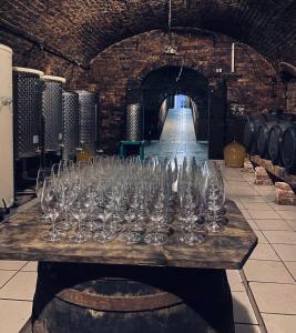 a table with glasses on it in a wine cellar at ZAPOMENUTÝ SKLÍPEK in Olbramovice