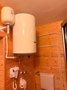 a bathroom with a water tank on a wooden wall at Casa Cosmin in Dobra +23 photos