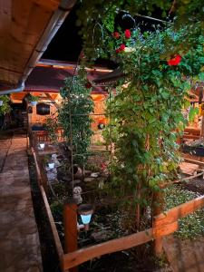 a garden with plants and flowers in a yard at Casa Cosmin in Dobra