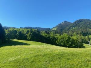 a field of green grass with trees in the background at Studio Belle Neige in Bernex