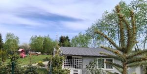 a house with a palm tree in the yard at Domek ASIA in Wronka +1 photo