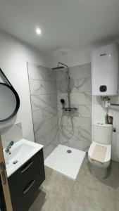 a bathroom with a shower and a toilet and a sink at Les Perles de Limoux -Studio Centre Climatiseur Wifi Parking Gratuit in Limoux