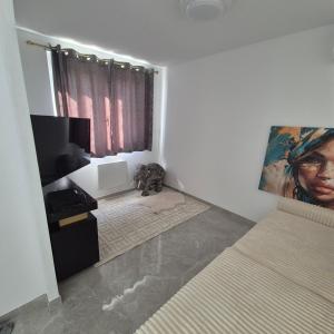 a bedroom with a cat sitting in the corner of the room at Appartement neuf full équipe in Palavas-les-Flots